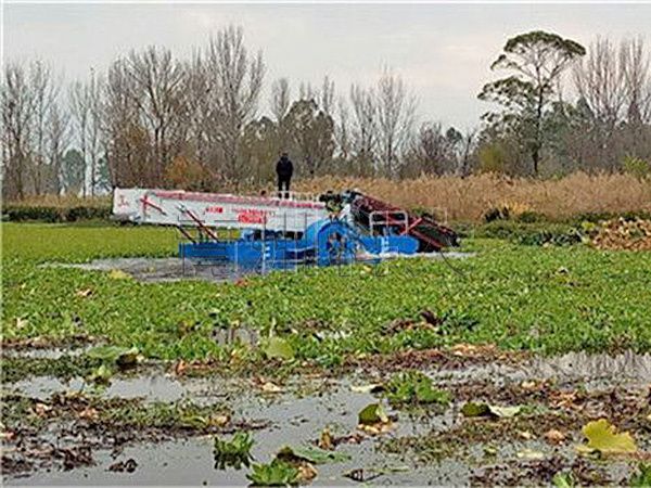 環(huán)保割草船現場工作視頻.jpg